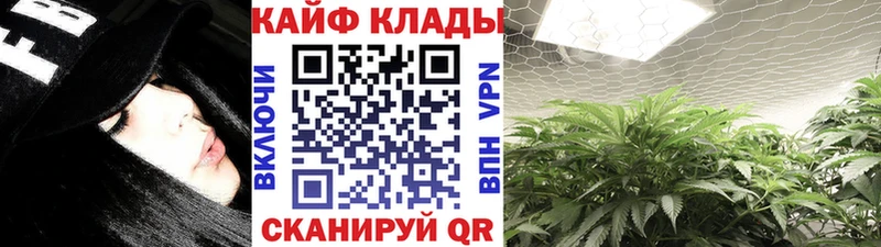 Названия наркотиков Котельники МАРИХУАНА  БУТИРАТ  Гашиш  Псилоцибиновые грибы  Мефедрон  СК 