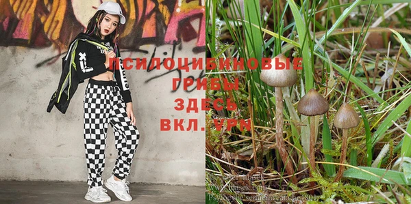 стафф Кулебаки
