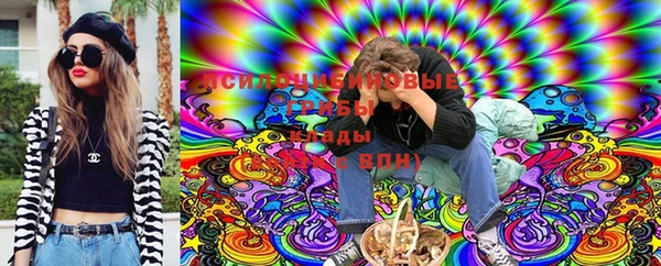 соль ск Воткинск