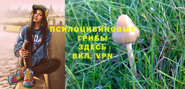 мет Краснослободск